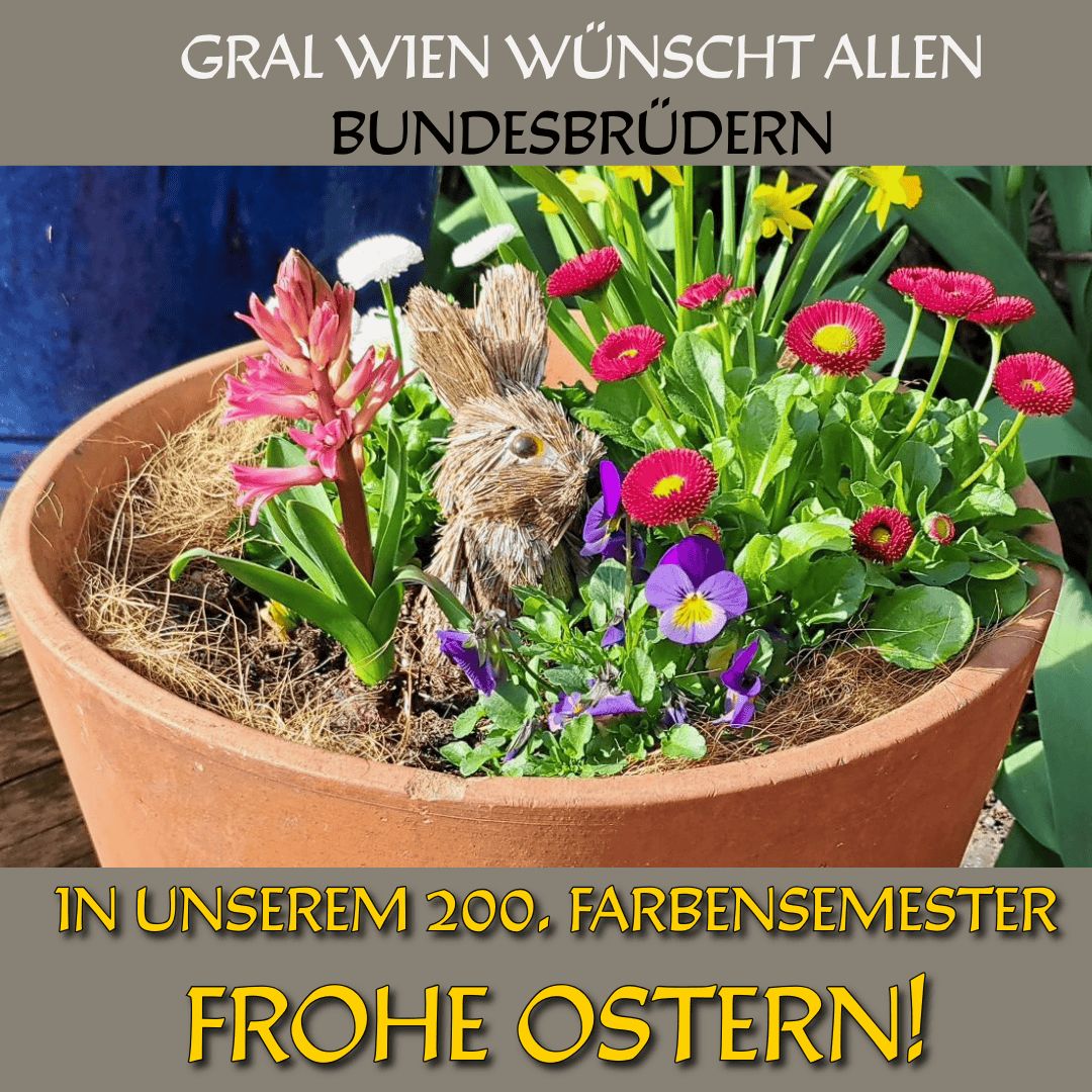 Keck lugt der Osterhase zwischen blühenden Blumen über den Topfrand hinweg...
